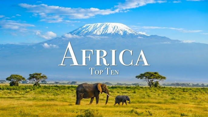 Sky Expo exhibition booth design and fabrication services in Africa featuring modern trade show stand and creative branded display solutions